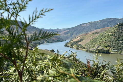 Von Porto aus: Kleingruppentour für Essen und Wein im Douro-TalTour mit Abholung vom Hotel und Rücktransfer zum Hotel