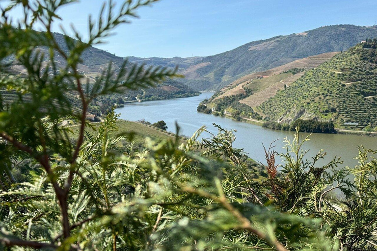 Von Porto aus: Kleingruppentour für Essen und Wein im Douro-TalTour mit Abholung vom Hotel und Rücktransfer zum Hotel