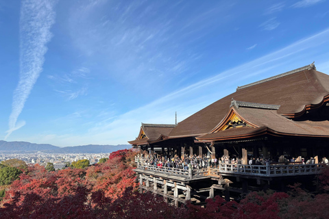 Kyoto: Higashiyama Premium E-Bike Tour with guide