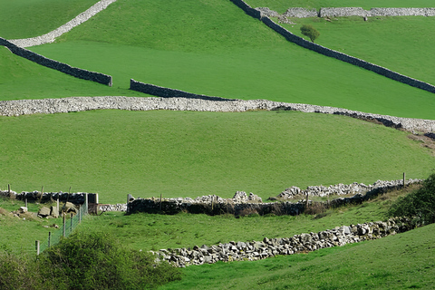 Private Tour of Newgrange and The Hill of Tara