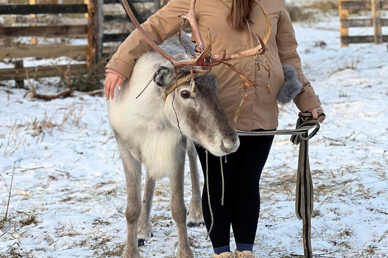 Levi Wilderness Twilight Adventure