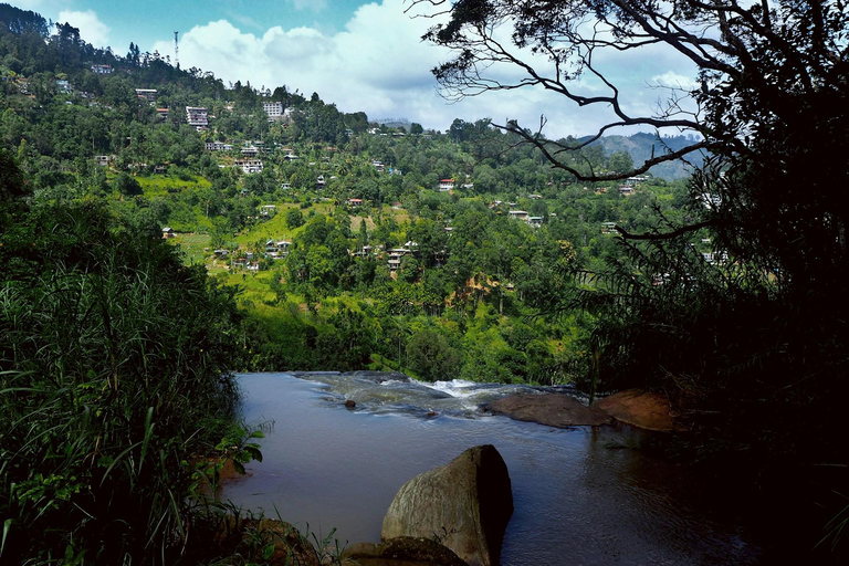 Galle: Kanneliya Rainforest , Jungle Beach & Craft Tour