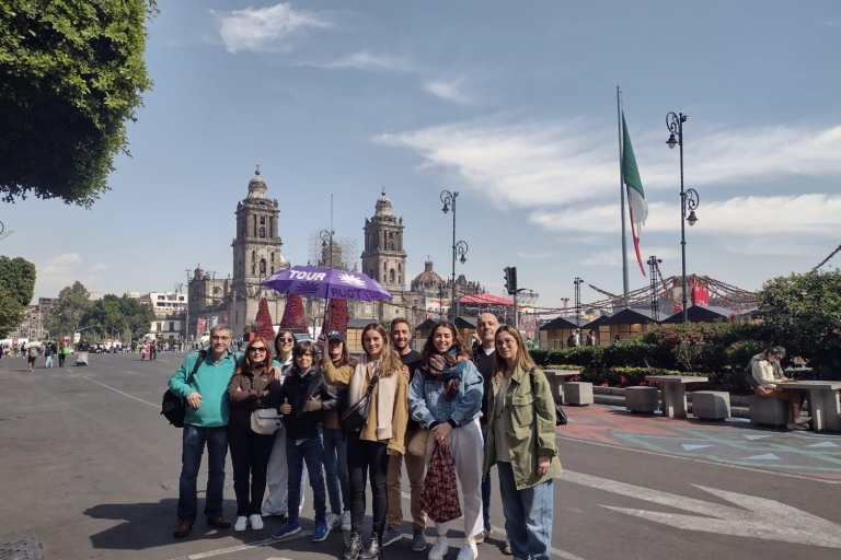 Ciudad de México: Visita turística privada de la ciudad