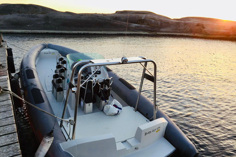 Helsinki: Private RIB Boat Cruise with Snacks and Drinks