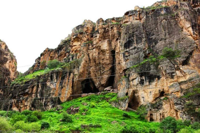 Private Tour to Khor Virap, Noravank, and Areni, Birds cave