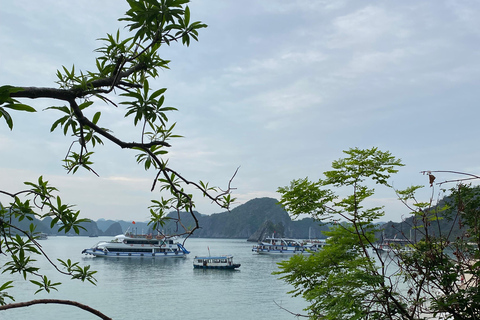 Cat Ba : tour en bateau de Lan Ha en kayak pour observer le plancton bioluminescent