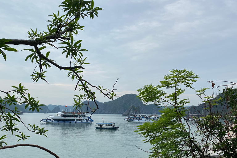 Cat Ba : tour en bateau de Lan Ha en kayak pour observer le plancton bioluminescent