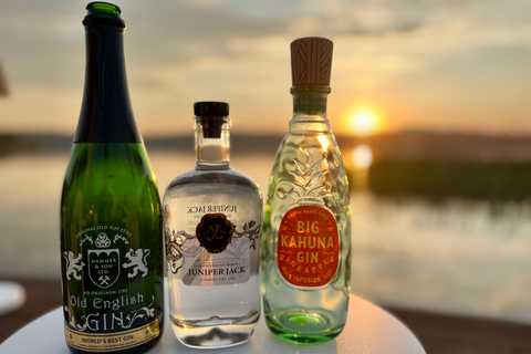 Dresden: Gin and Gin & Tonic Tasting with Guided Sampling