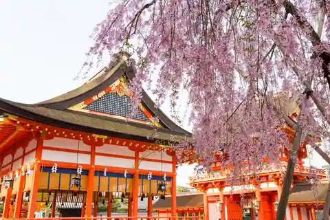 Kyoto: Eendaagse bustour langs Fushimi Inari, Kinkakuji & meer