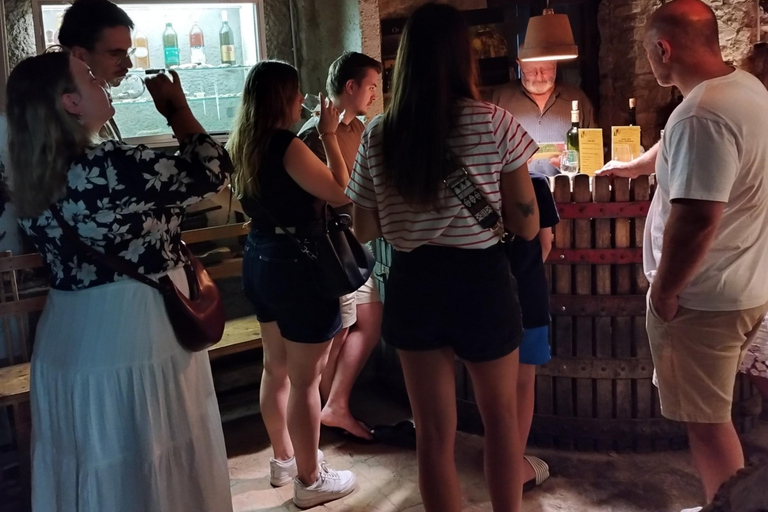 Château Villemagne: قم بزيارة القبو وتذوق النبيذ لدينا.