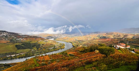 Lisbon: Douro Valley Tour with Wine Tastings & Cruise