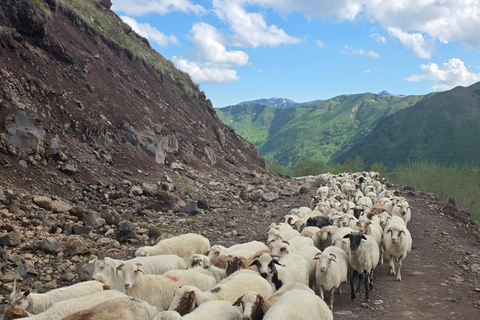 3-Day Kazbegi, Juta & Truso Tour by Premium Toyota Sequoia