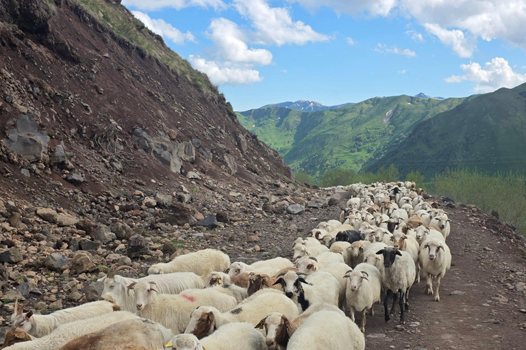 3-Day Kazbegi, Juta & Truso Tour by Premium Toyota Sequoia