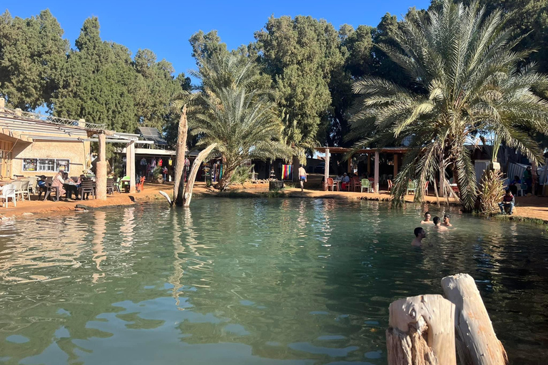 From Djerba: Saharan Safari - Berber Villages and Golden Dunes