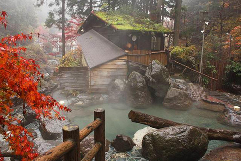 Osaka: Nara and Uji Day Trip with Deer Park and Hot Spring