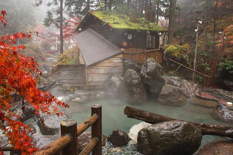 Osaka: Nara and Uji Day Trip with Deer Park and Hot Spring