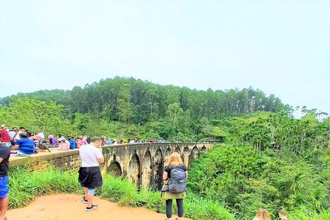 Pacchetto turistico di 14 giorni in Sri LankaPacchetto tour di 14 giorni: copertura completa della parte migliore dello Sri Lanka