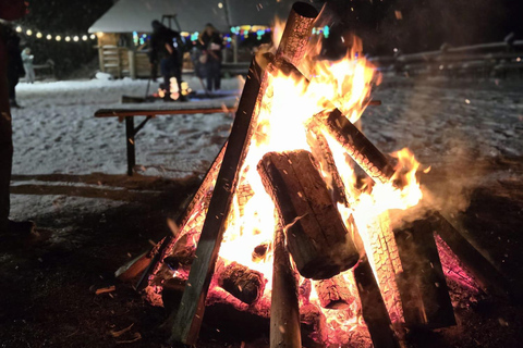 Zakopane: Snowmobile, Sleigh Ride, & Thermal Pools Tour