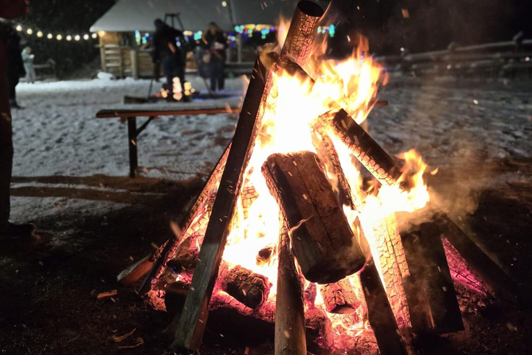 Zakopane: Snowmobile, Sleigh Ride, & Thermal Pools Tour