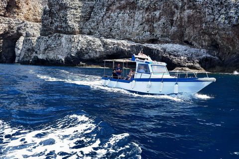 Marettimo: Caves and Coves Boat Cruise Marettimo: Tour of caves and coves