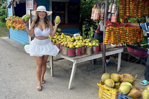 Puerto Plata: City and Countryside Tour with Beach Visit