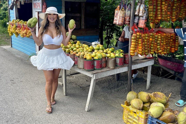 Puerto Plata: City and Countryside Tour with Beach Visit