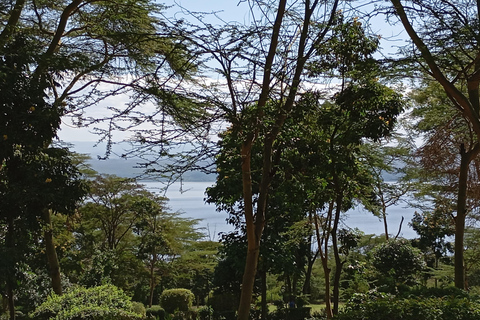 From Nairobi: Lake Nakuru & Naivasha National Park Day Tour lake national park&lake naivasha