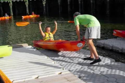 Hilton Head: Guided Kayak Nature Tour with Wildlife Spotting Adult Single Kayaks