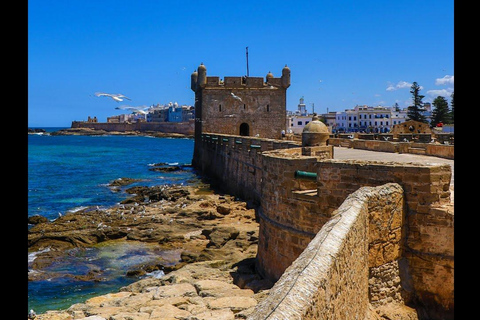 Essaouira Day Trip from Marrakech: Medina & Atlantic Coast Private Essaouira Day Trip