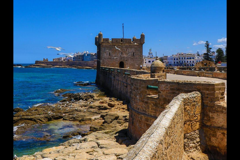 Essaouira Day Trip from Marrakech: Medina & Atlantic Coast Private Essaouira Day Trip
