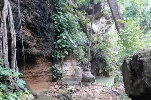 Barranquilla: Caminata en los bosque de bajo obstion-juaruco