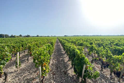 Bordeaux: Wioska Saint Emilion z zamkami i degustacją wina