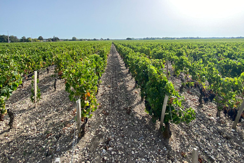 Bordeaux : Saint-Émilion Village avec châteaux et dégustation de vins