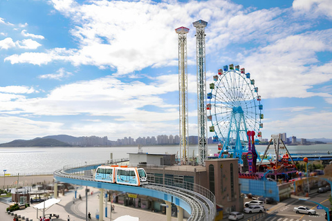 Seoul: Incheon Landing Operation & UN Forces Expert-Led Tour Incheon Landing Operation & UN Forces History (Private Tour)