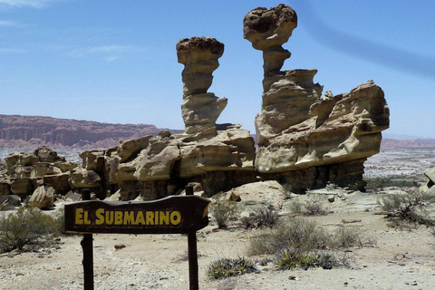 San Juan : Visite du parc Ischigualasto dans la vallée de la luneSan Juan : visite du parc Ischigualasto dans la vallée de la lune