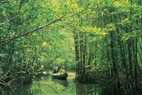 Can Gio Mangrove Forest and Monkey Island full day tour