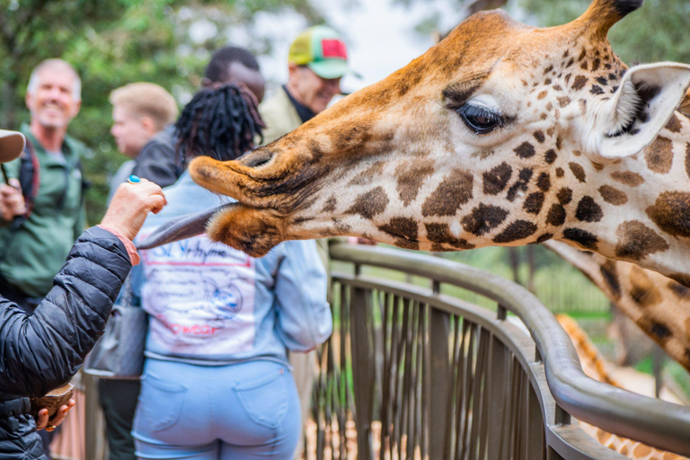 Tour guidato di Nairobi al Centro delle Giraffe e alla Fabbrica di Perline di Kobe