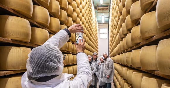 From Bologna/Bazzano: Italian Days Food Factory Tour & Lunch