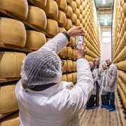 Bologna Food Experience Factory & Lunch By Italian Days