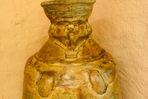 Explore the Magic of Tayronaka: Indigenous Culture, Nature and Adventure