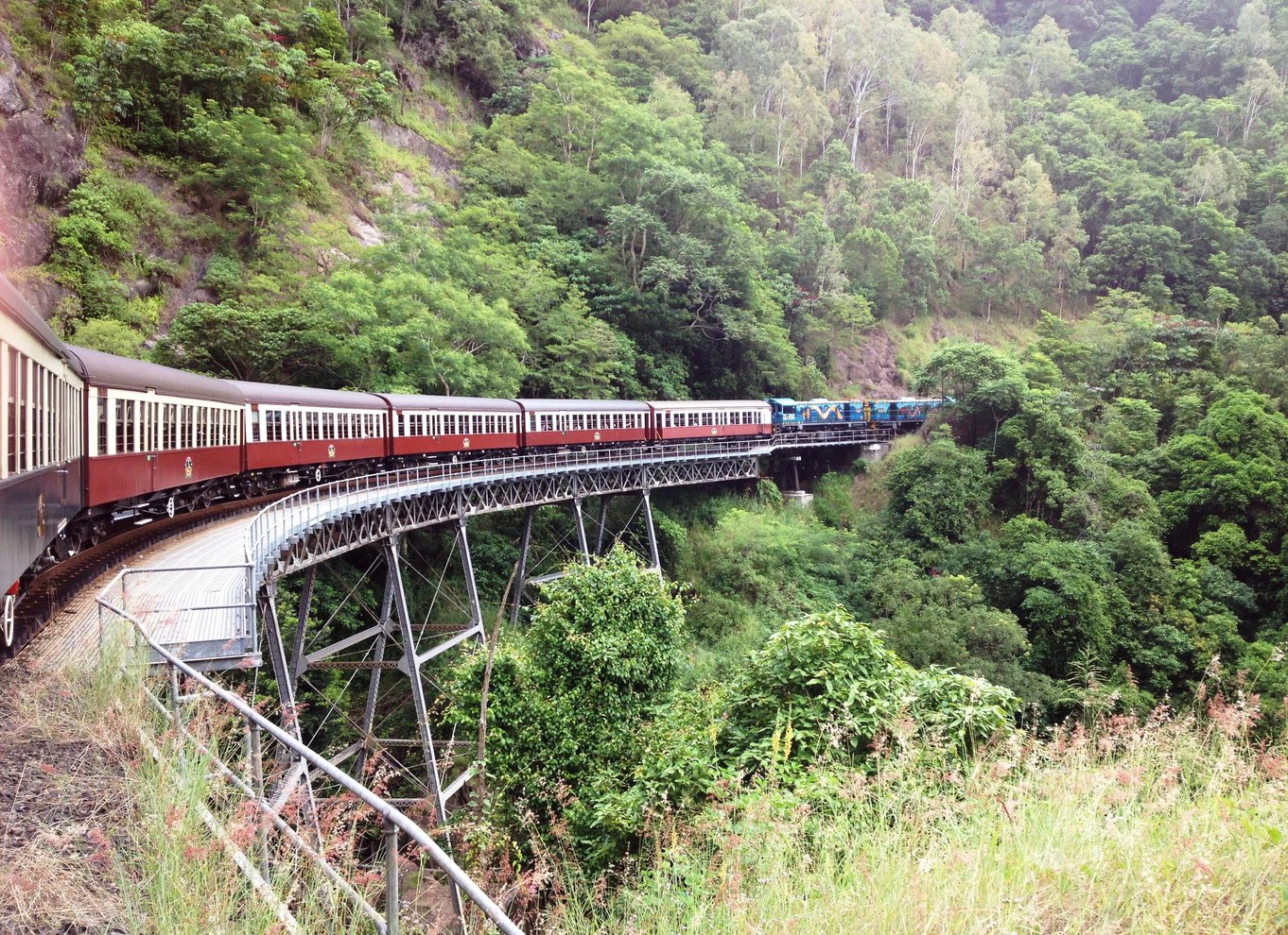 Fra Cairns: Selvguidet Kuranda-tur med tog og Skyrail