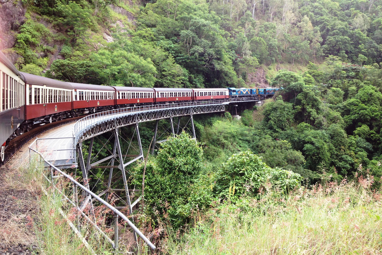 Cairns: Self-Guided Kuranda Train and Bus & Skyrail Loop