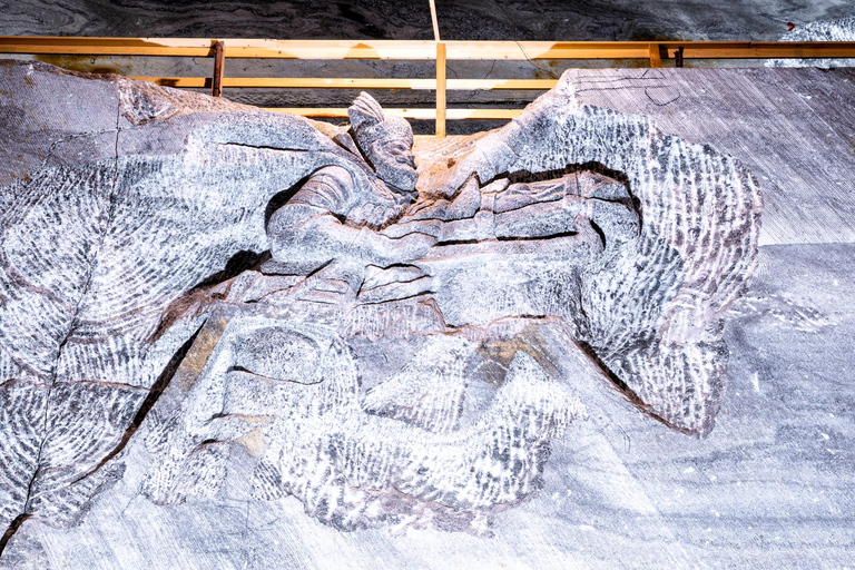 From Bucharest : Dracula's Tomb & Slanic Prahova Salt Mine Entrance Tickets included