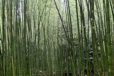 Tour privato in auto - Fushimi Inari, Kinkakuji e Boschetto di Bambù