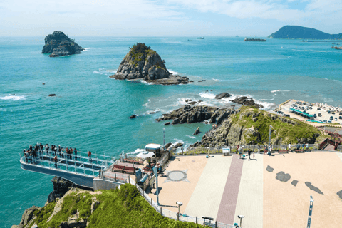 Busan: Traditional Culture Experience Tour with Lunch