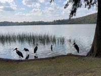 Excursión de un día a Debre Zeit/ Bishoftu - Hizvo