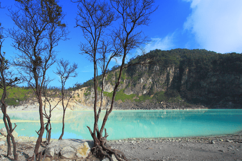 Jakarta : Circuit des lacs du cratère blanc volcanique et des plantations de thé