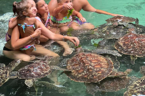 Nungwi: Swim with Sea Turtles at Sanctuary with Transfer Private Tour with Hotel Transfer Anywhere in Zanzibar