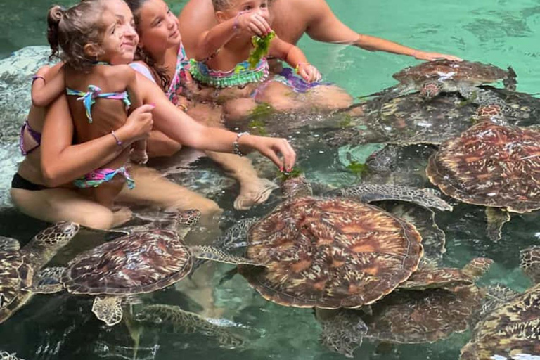 Nungwi: Swim with Sea Turtles at Sanctuary with Transfer Private Tour with Hotel Transfer Anywhere in Zanzibar