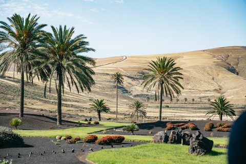 Parque Nacional de Timanfaya y cata de vinos La Geria